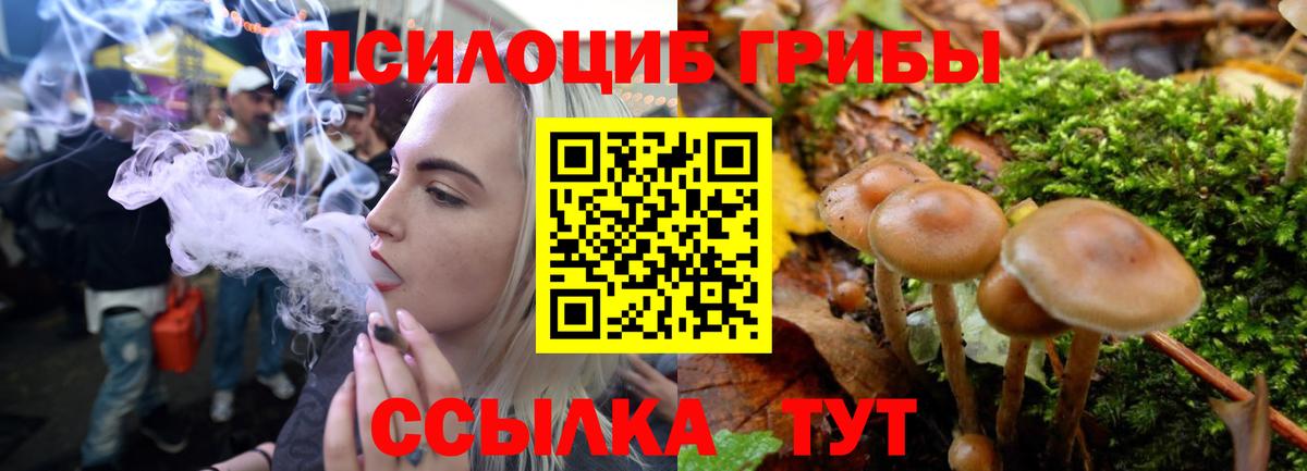 Галлюциногенные грибы Cubensis Корсаков