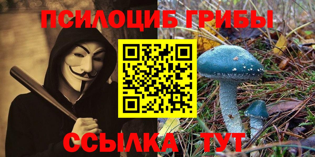 Псилоцибиновые грибы прущие грибы  Галлюциногенные грибы Cubensis  Вход с VPN  Корсаков 